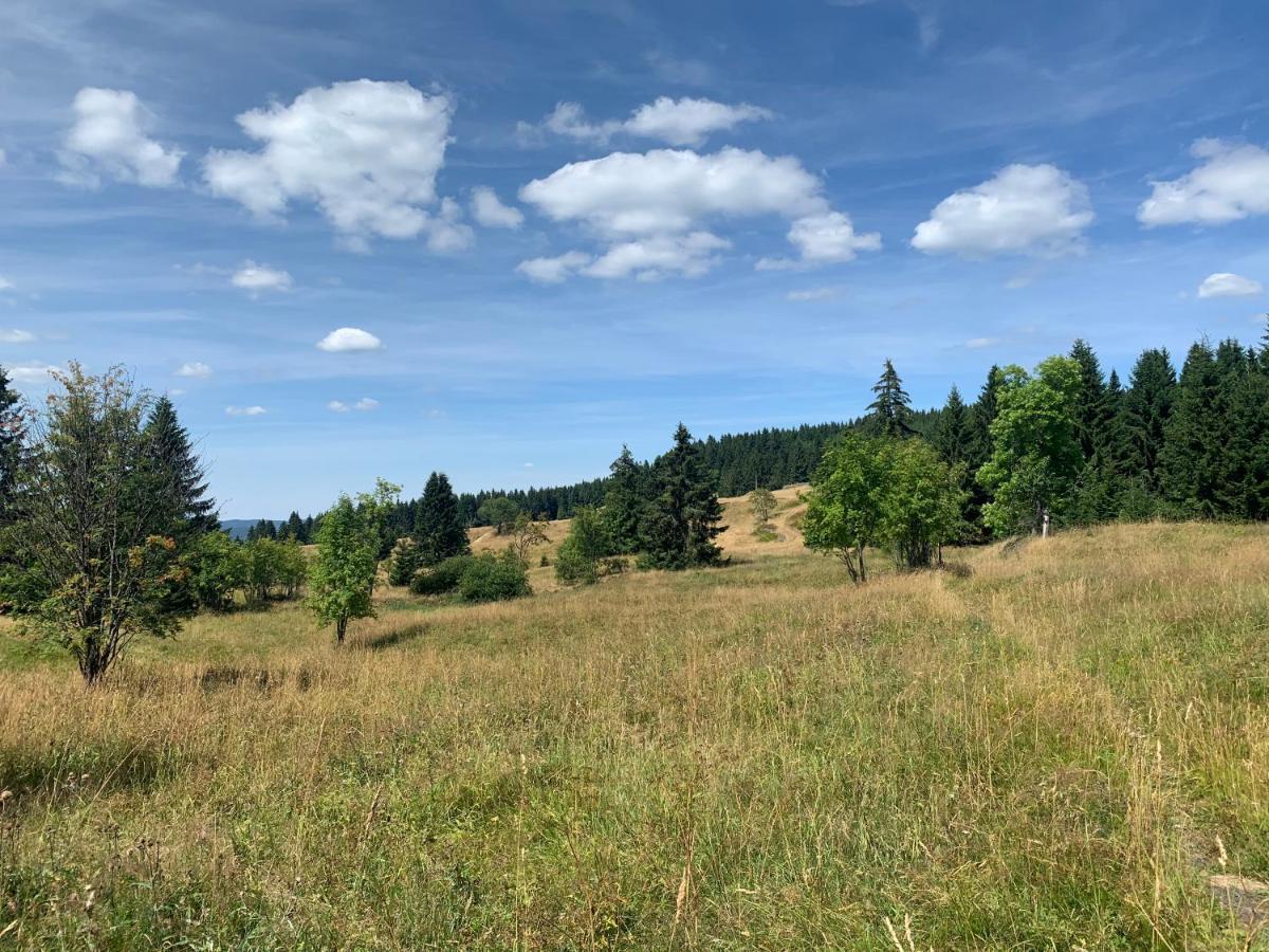 Ubytovani U Mateje Horní Blatná Exterior foto