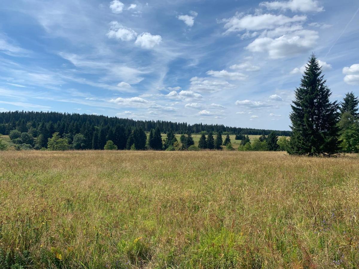 Ubytovani U Mateje Horní Blatná Exterior foto
